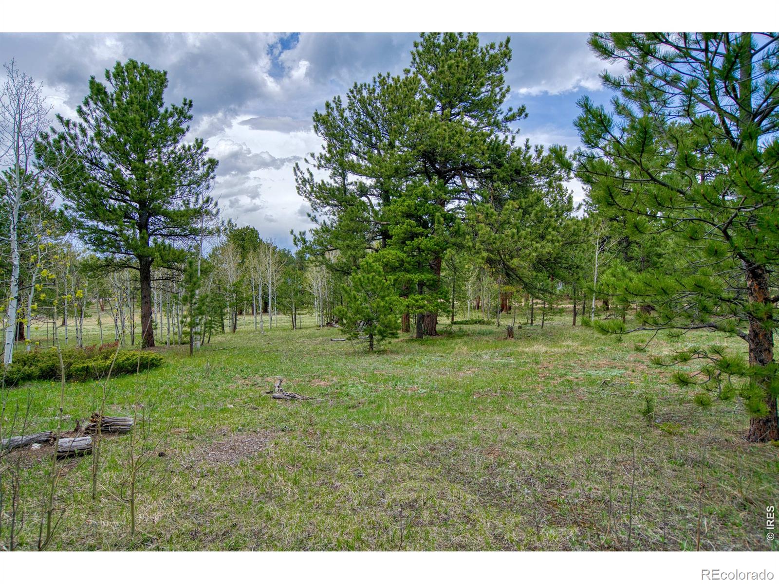 73 Sparn Way, Ward, CO 80481