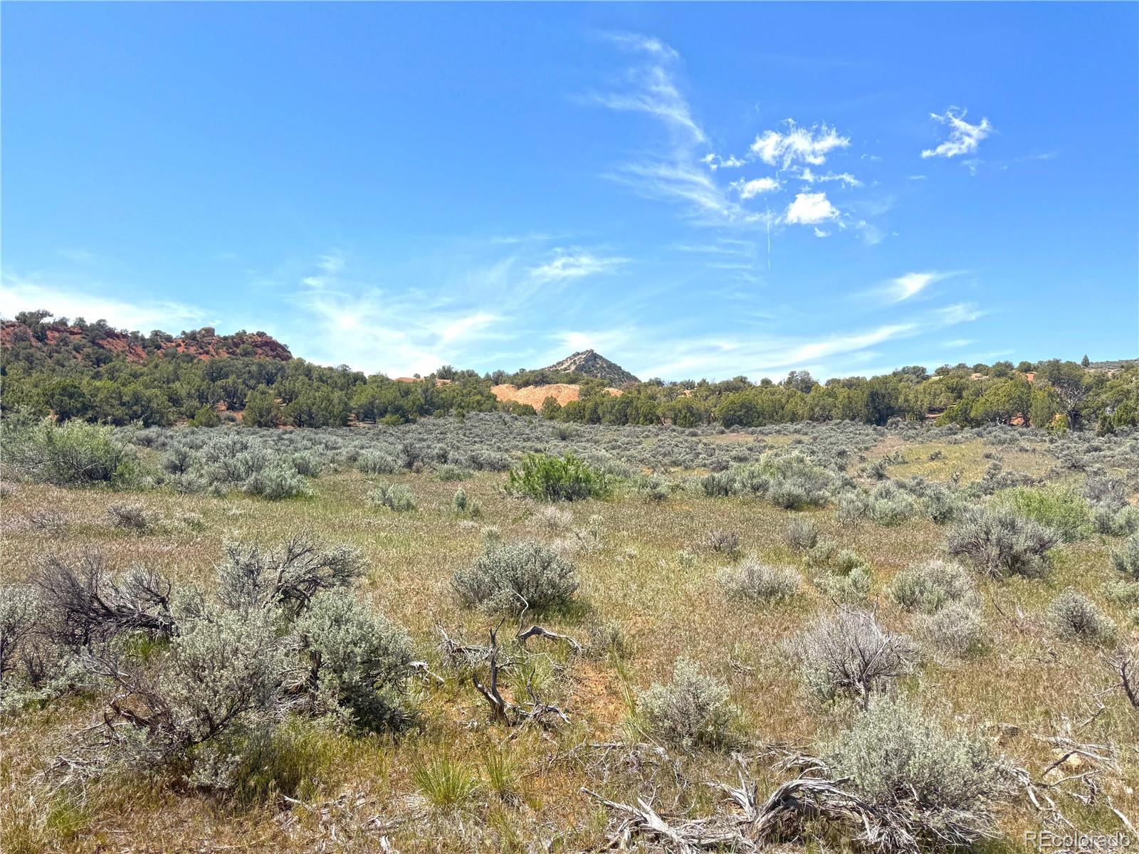 2 Valley Ln, Dinosaur, CO 81610