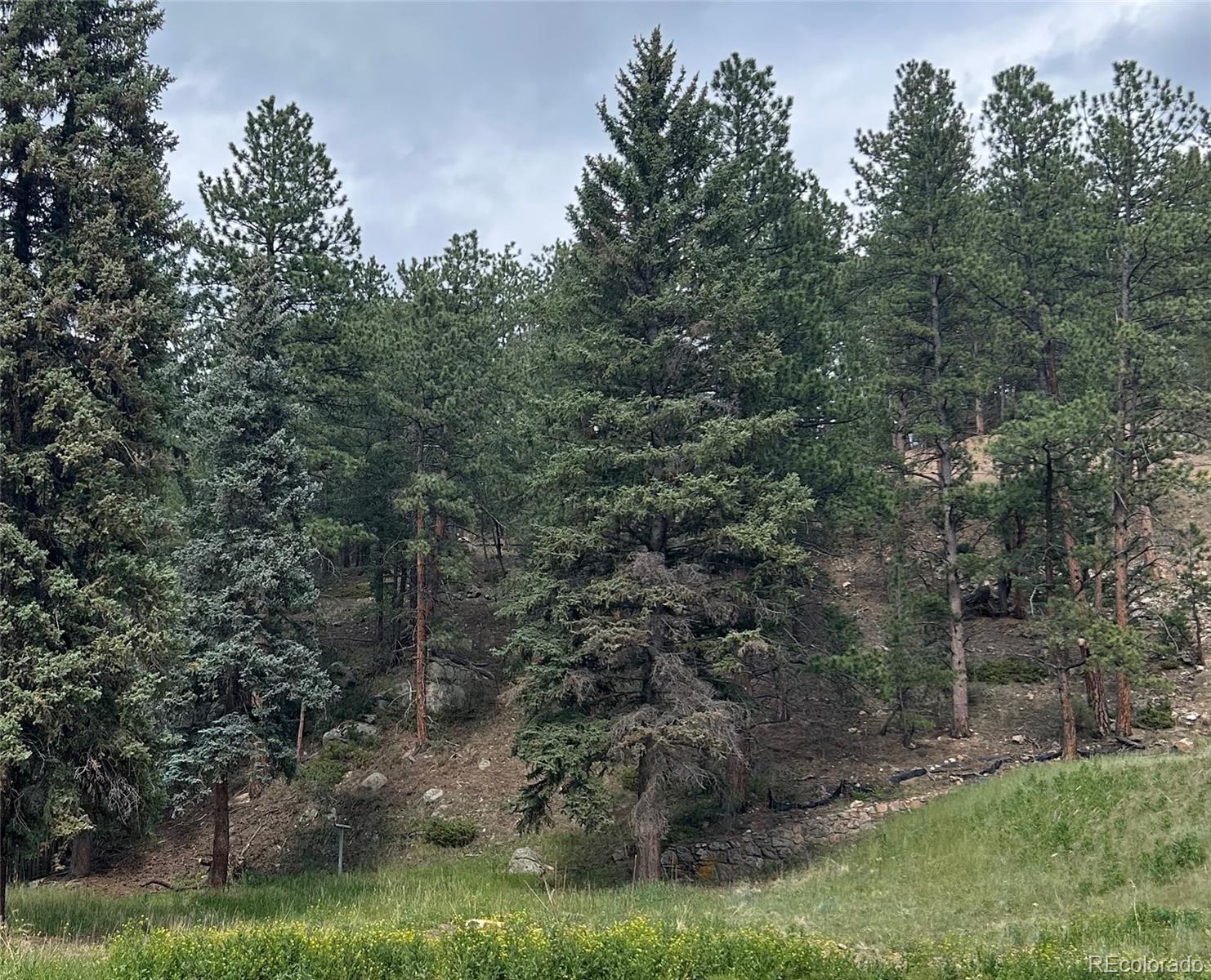 5190 County Road 73 Lot 32, Evergreen, CO 80439