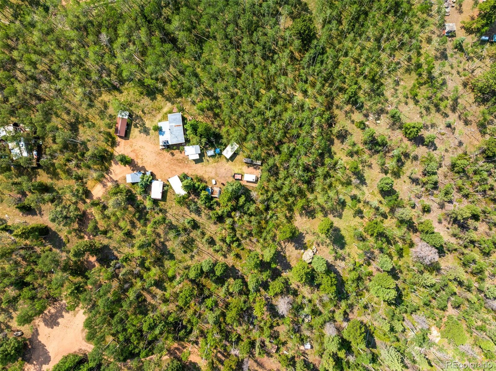 106 Forest Ct, Florissant, CO 80816