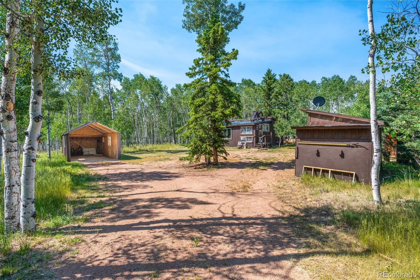 106 Forest Ct, Florissant, CO 80816