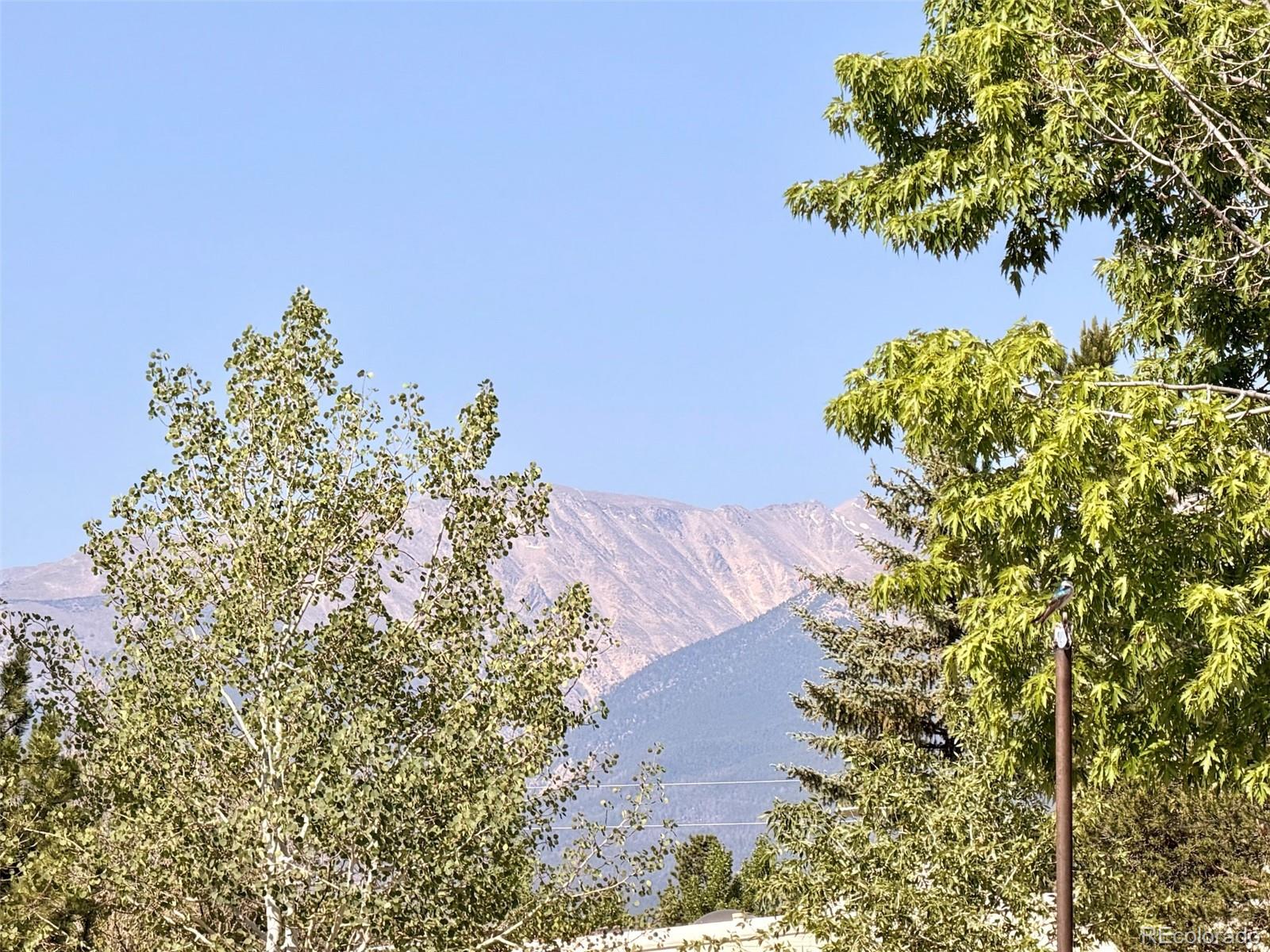 10795 County Road 197a #86, Nathrop, CO 81236