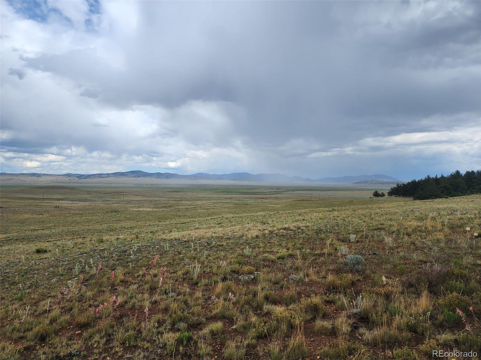 217 Cr 439, Hartsel, CO 80449