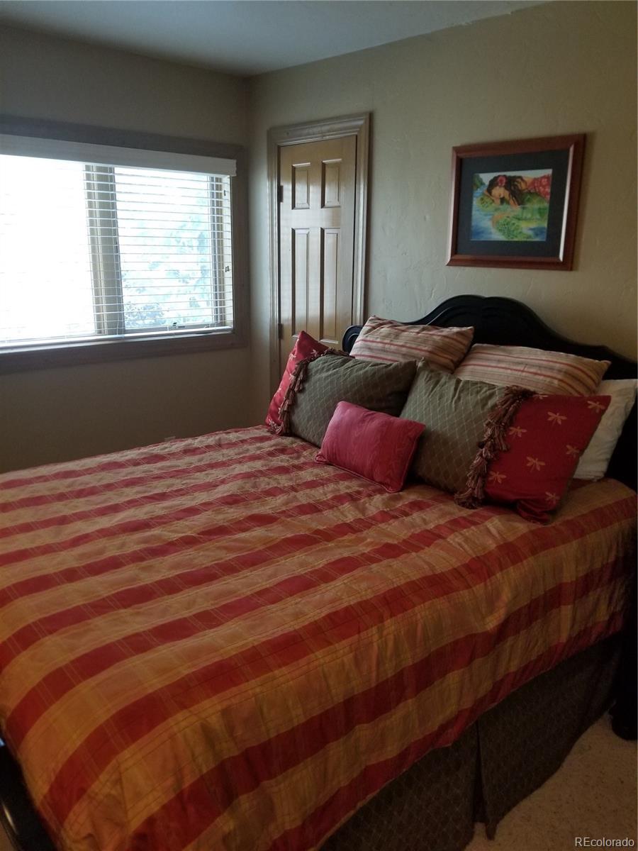 10 Shotgun Cir, Edwards, CO 81632