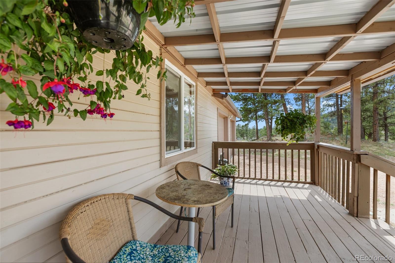 251 Surrey Ln, Florissant, CO 80816