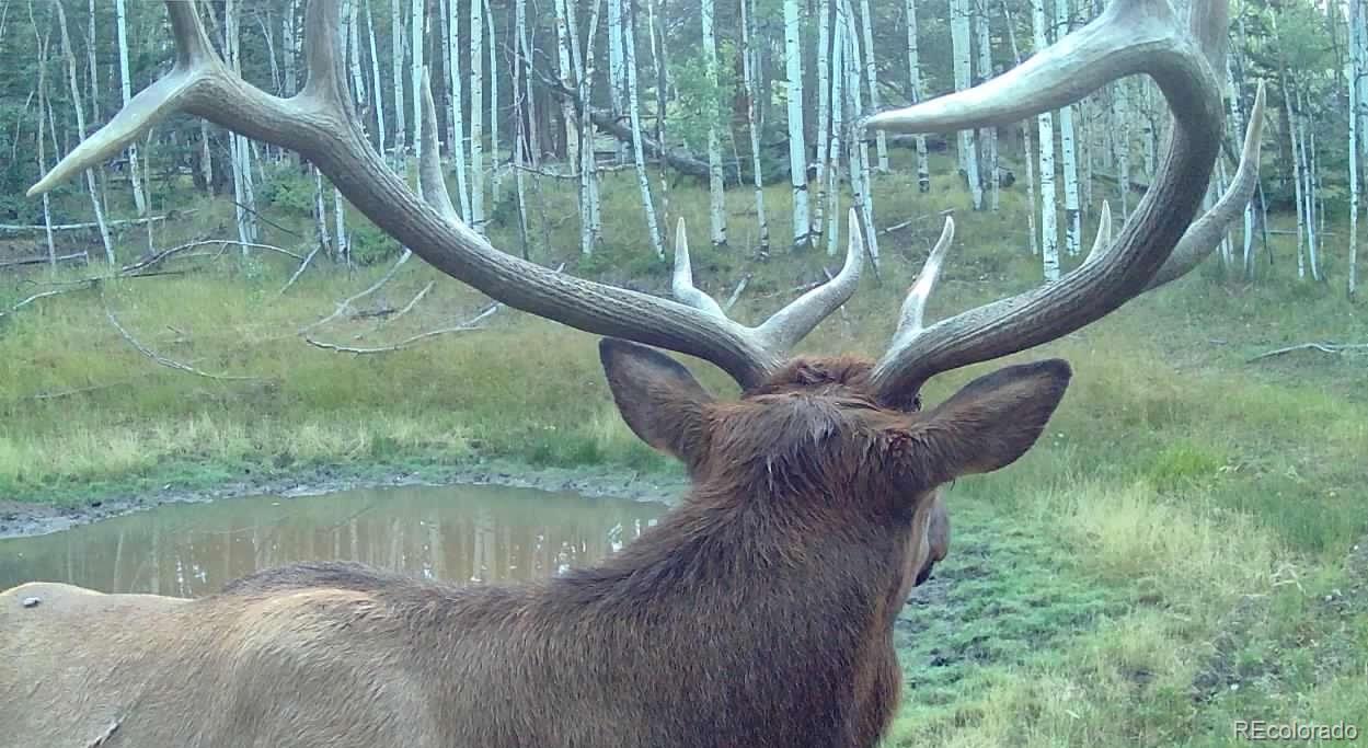 1280 Antler Ridge Rd, Como, CO 80432
