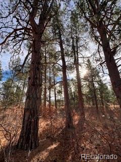 E Park Dr Lot 2-A, Franktown, CO 80116