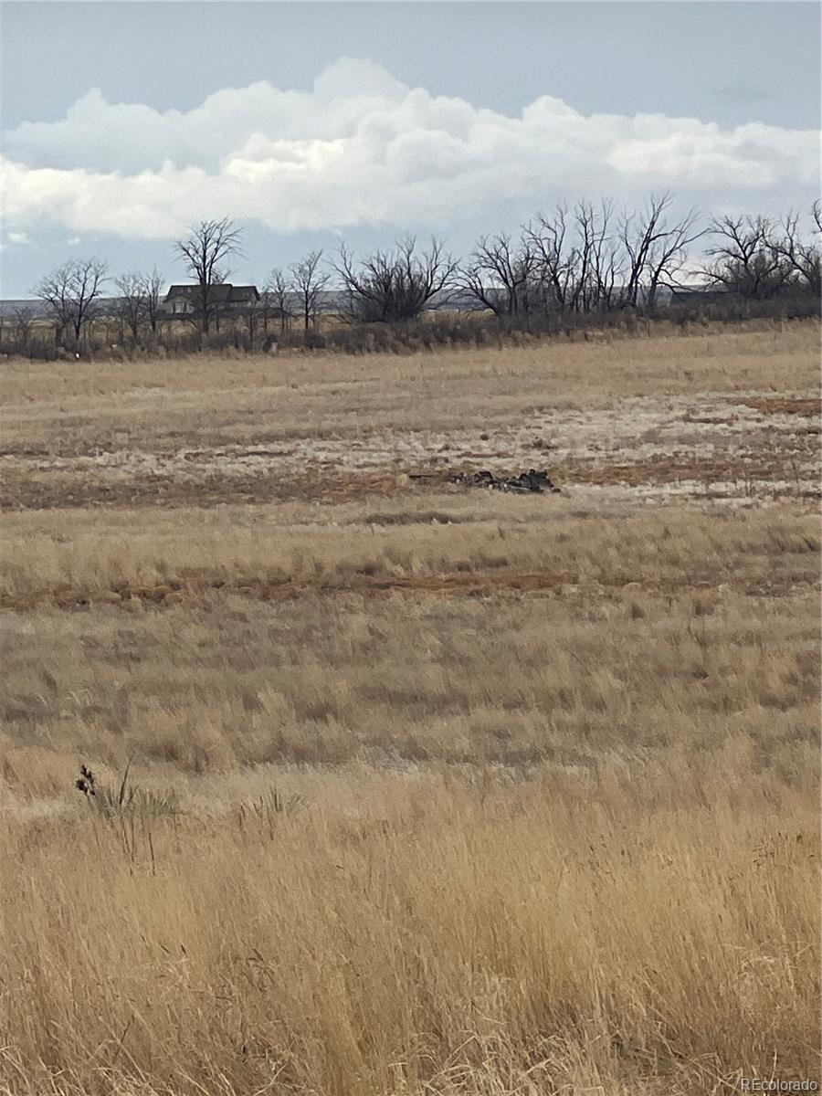 2101 Behrens Rd, Byers, CO 80103
