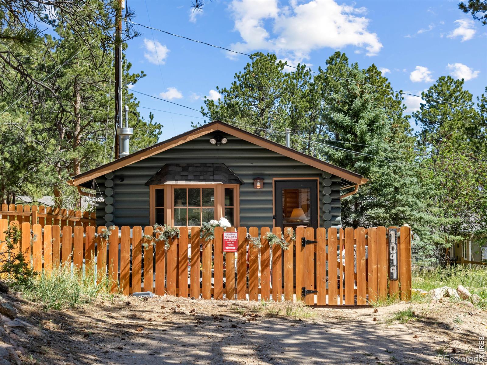 1099 Lexington Ln, Estes Park, CO 80517