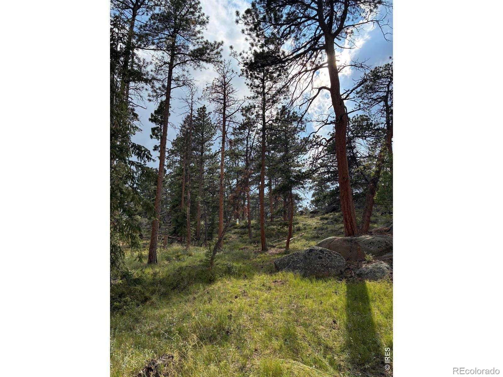 79 Alpine Ln, Red Feather Lakes, CO 80545