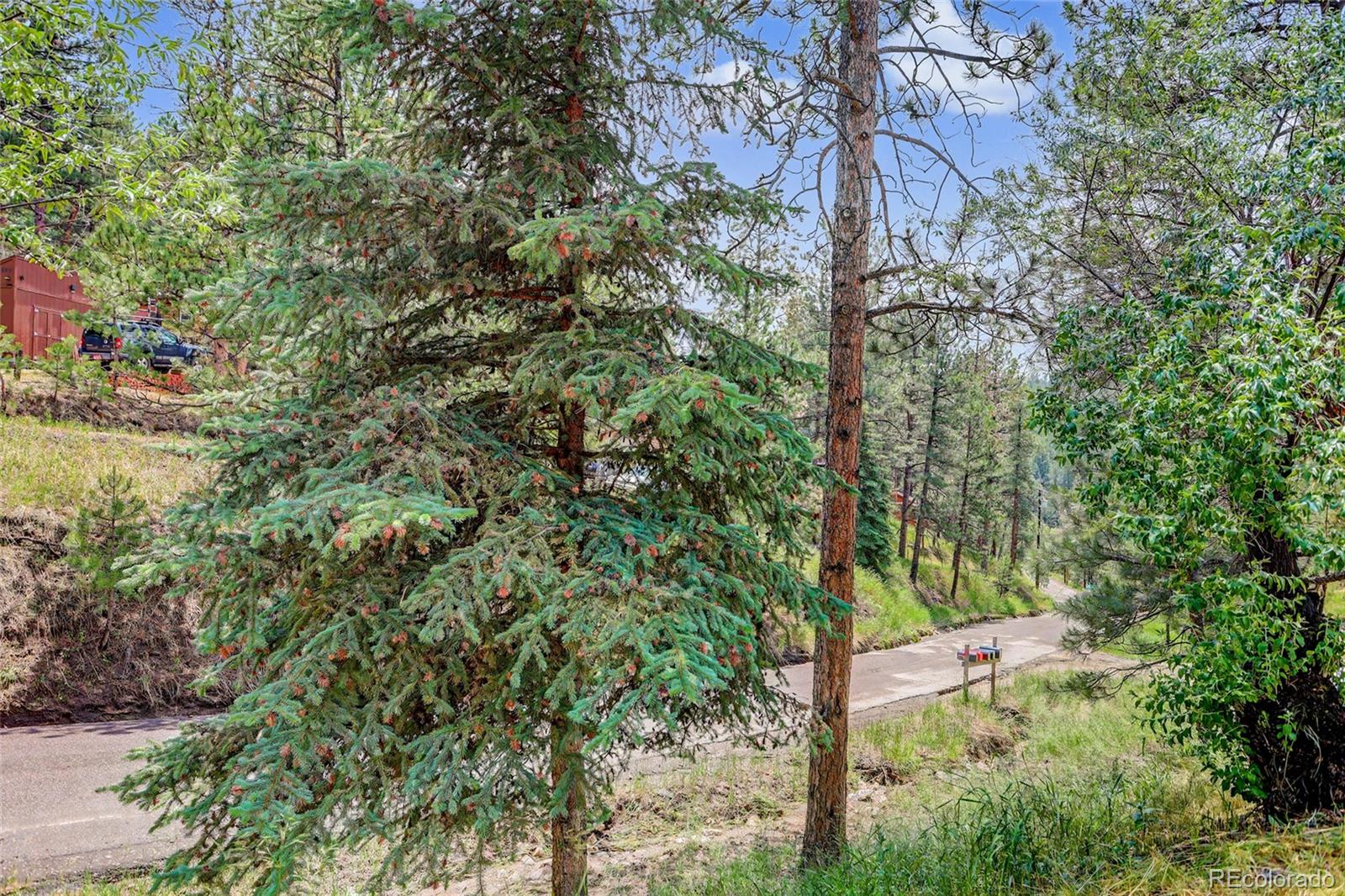 27535 Mountain Park Rd, Evergreen, CO 80439
