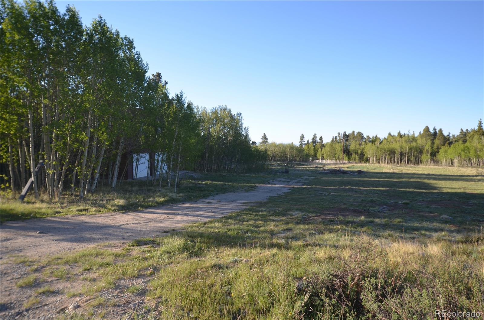 484 Wheat Way, Fairplay, CO 80440