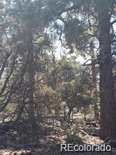 Tract 2 Costilla Pl, Alamosa, CO 81101