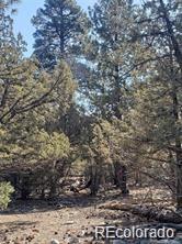 Tract 2 Costilla Pl, Alamosa, CO 81101