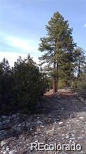 13 Tract 2 Costilla Pl, Alamosa, CO 81101