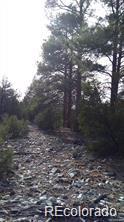 13 Tract 2 Costilla Pl, Alamosa, CO 81101