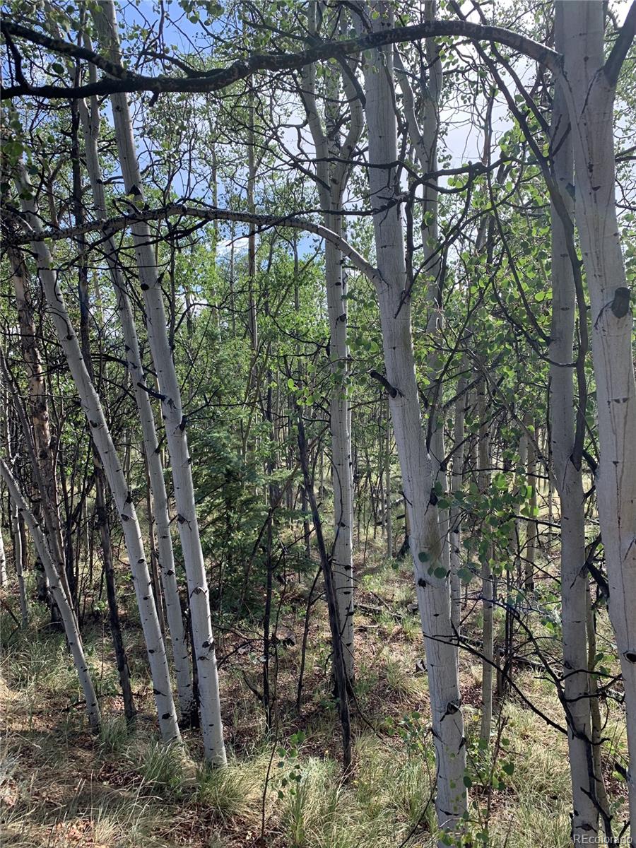540 Vulture Ln, Como, CO 80432