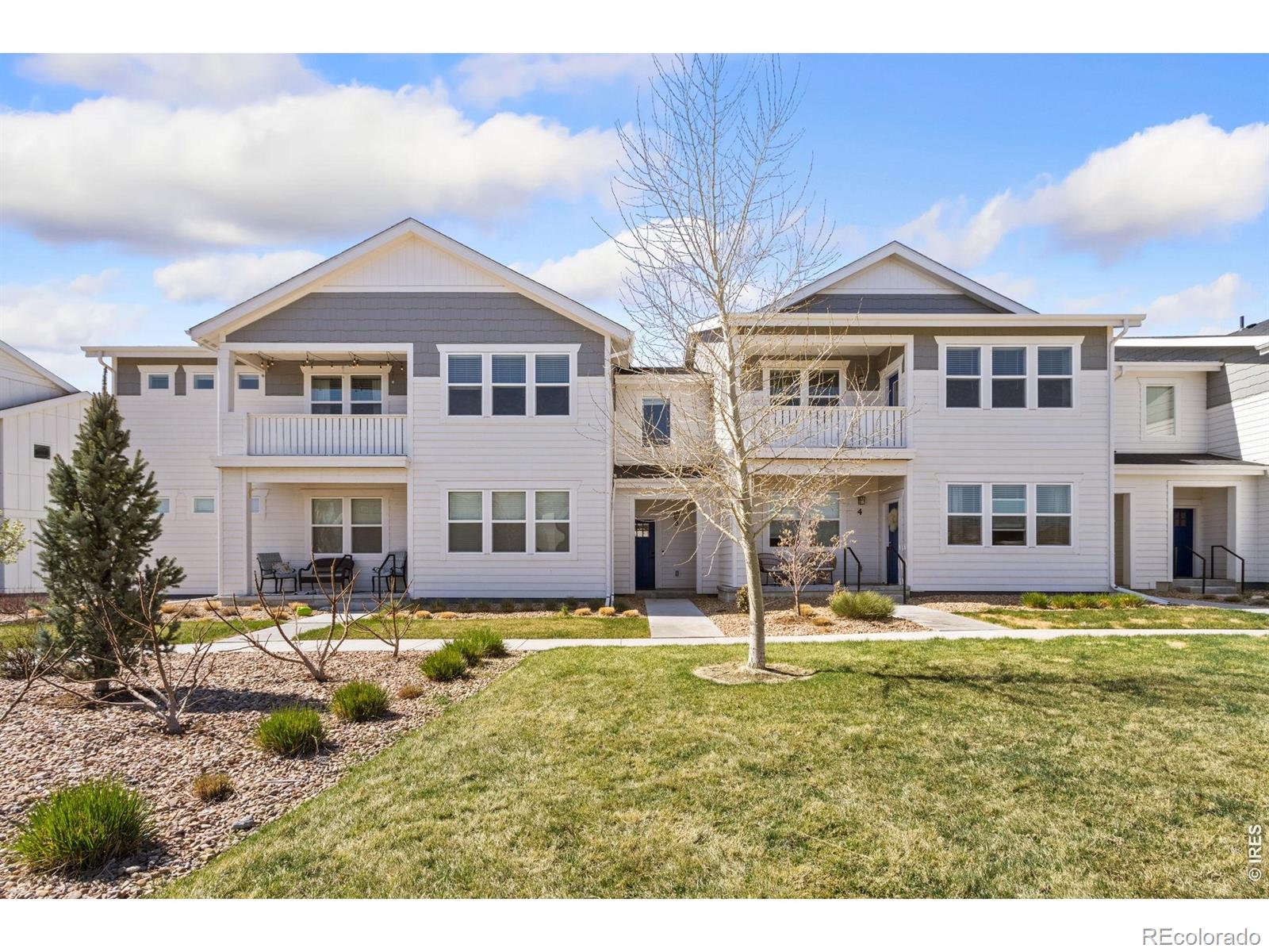 1805 Bounty Dr #3, Windsor, CO 80550