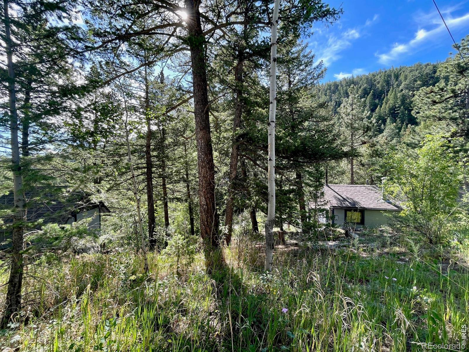 10763 Twin Spruce Rd, Golden, CO 80403