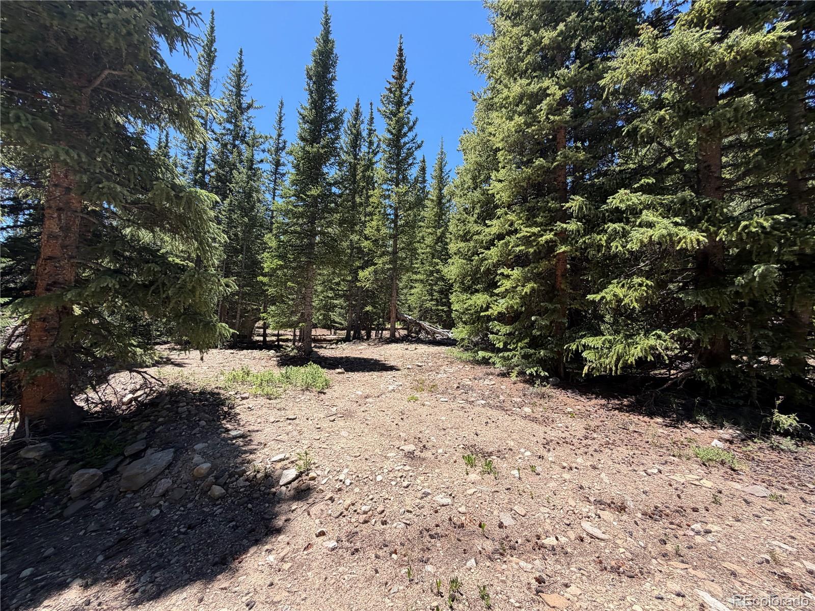 339 Silverheels Pl, Fairplay, CO 80440