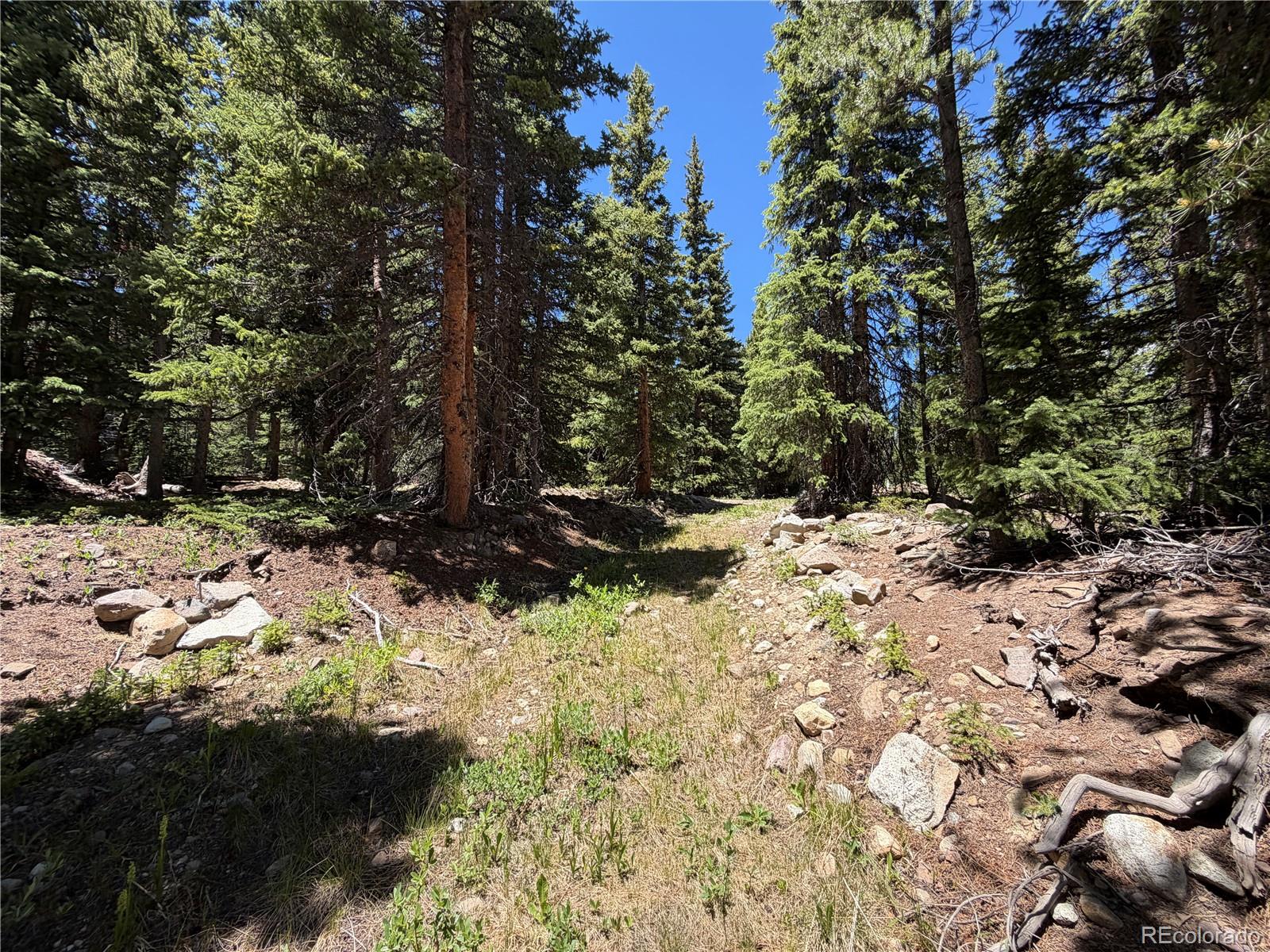 339 Silverheels Pl, Fairplay, CO 80440