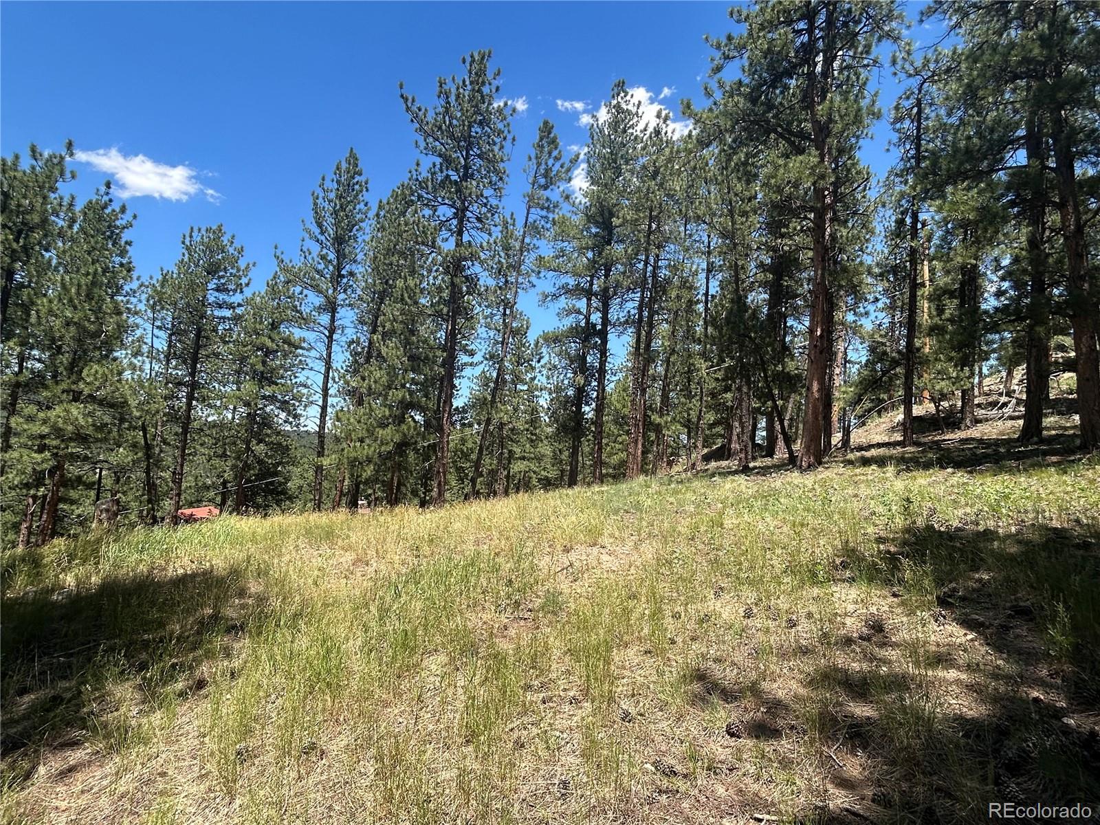 0 Pine Pine, Evergreen, CO 80439