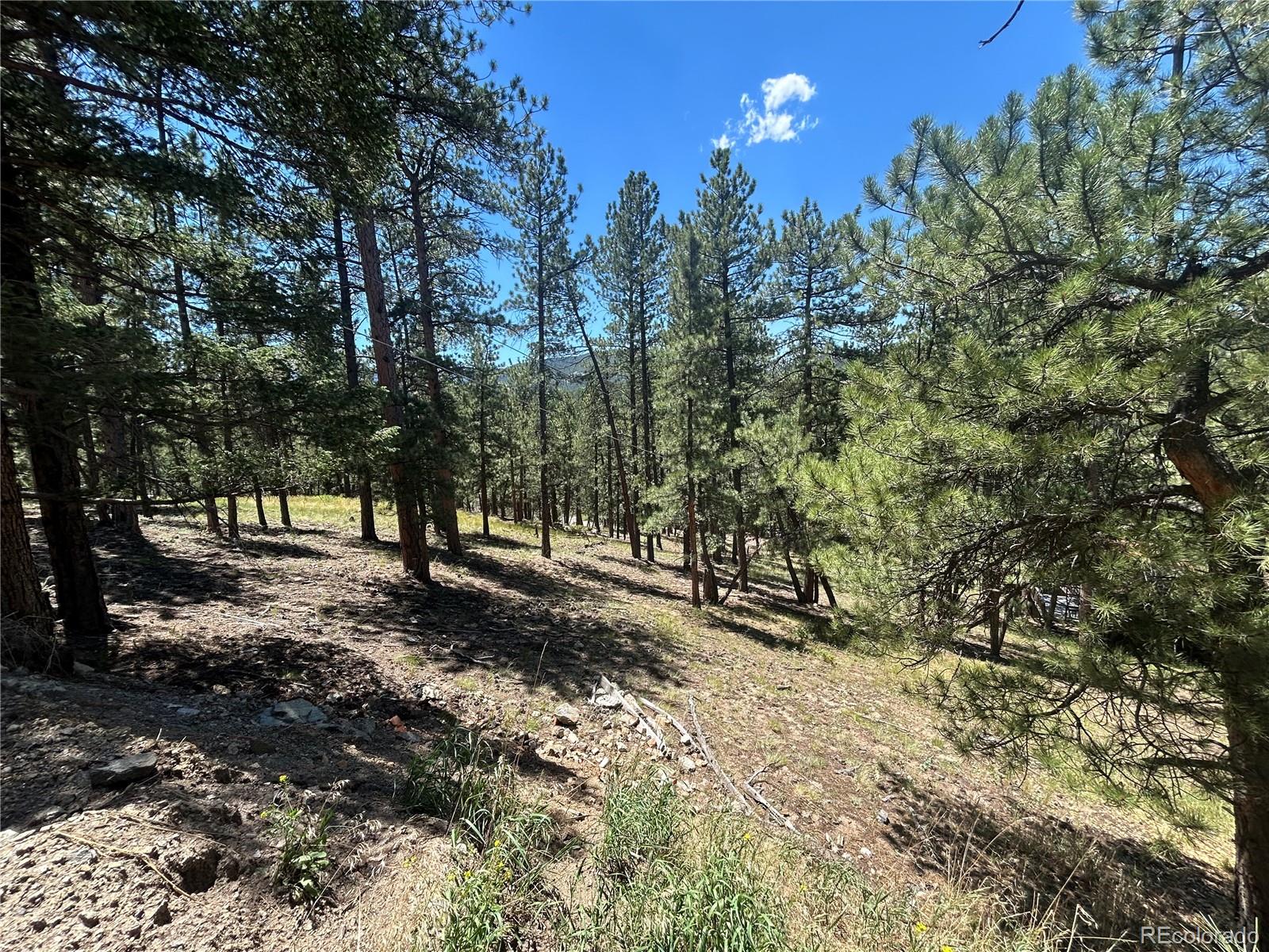 0 Pine Pine, Evergreen, CO 80439