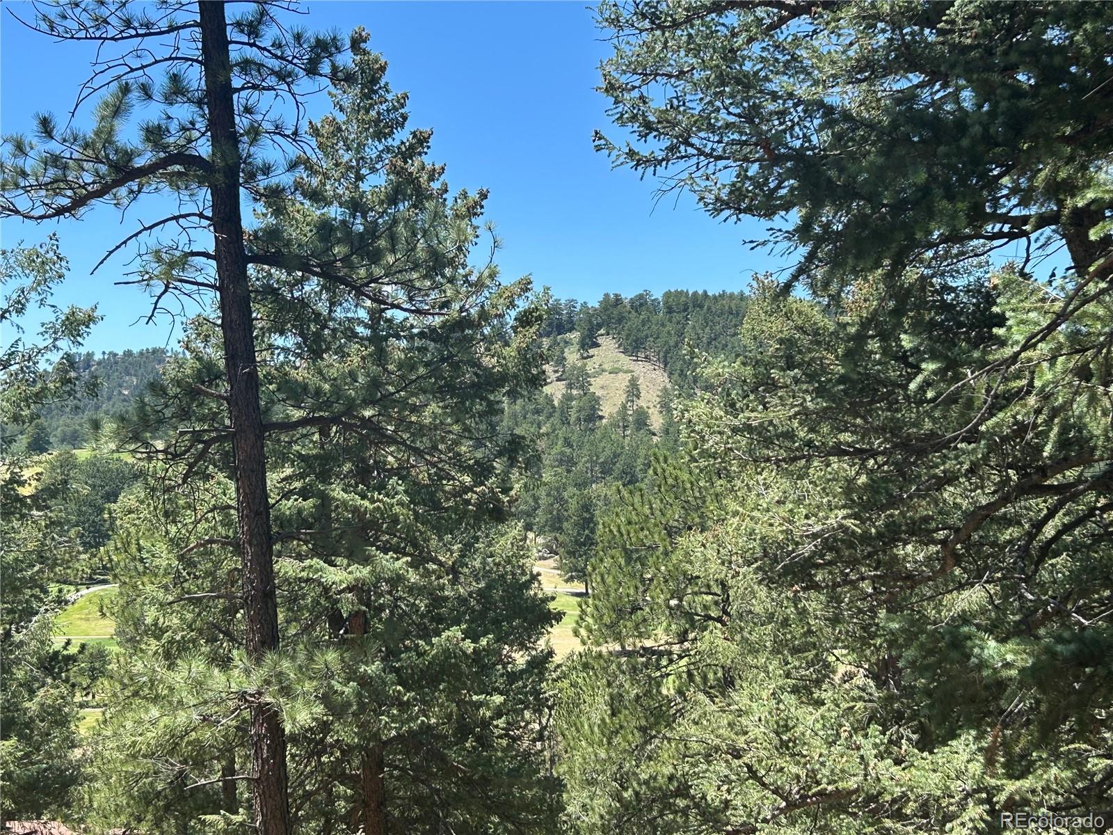 00 Pine Rd, Evergreen, CO 80439