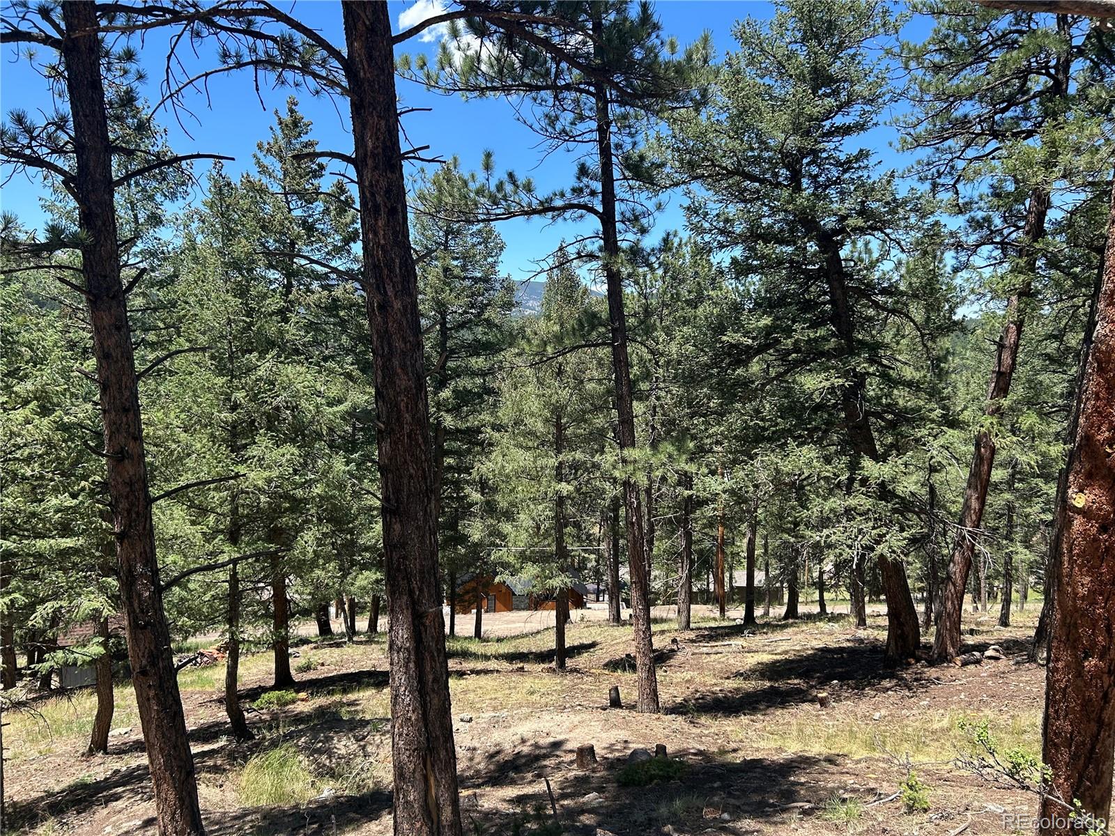 00 Pine Rd, Evergreen, CO 80439