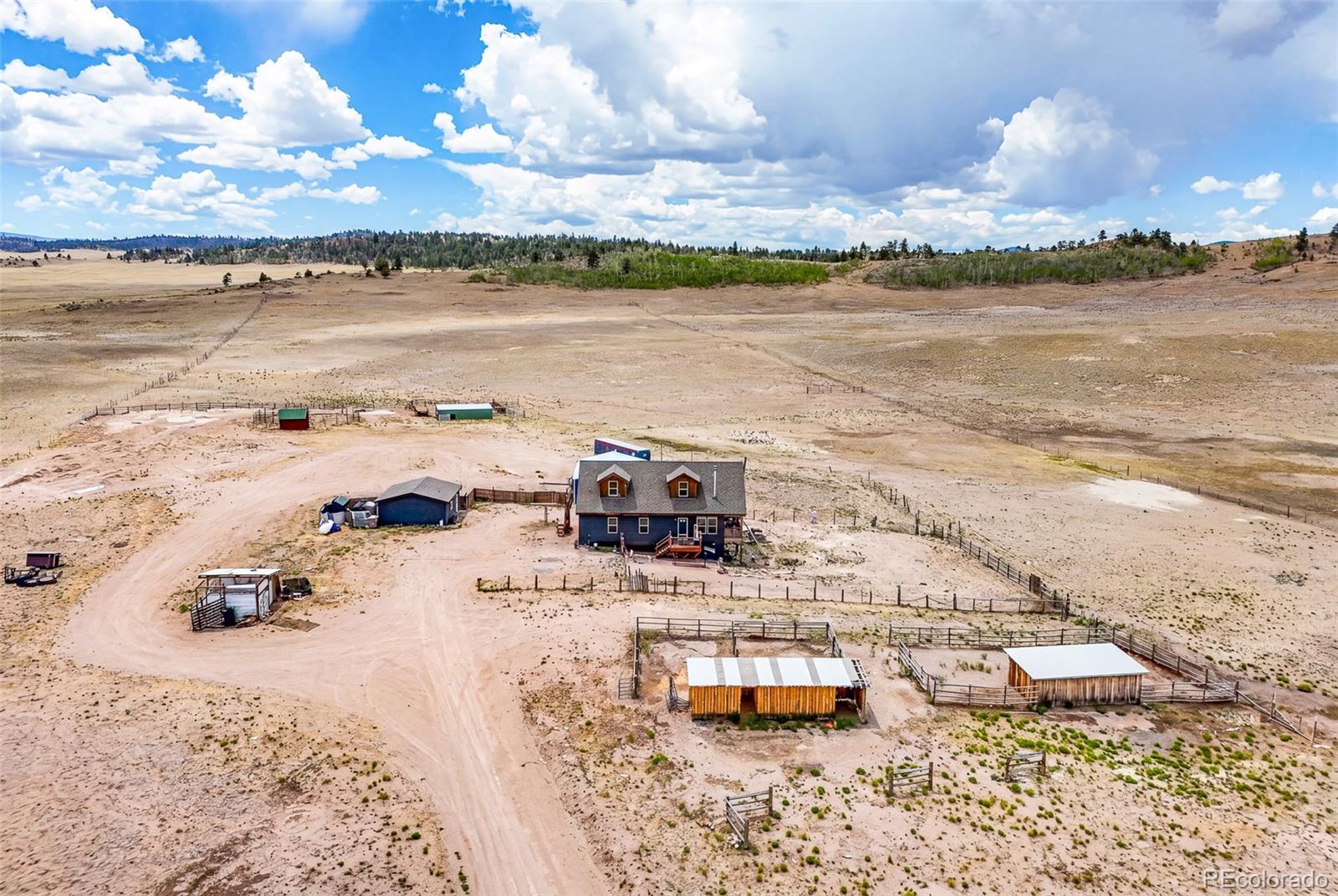 1406 Coweta Trl, Hartsel, CO 80449