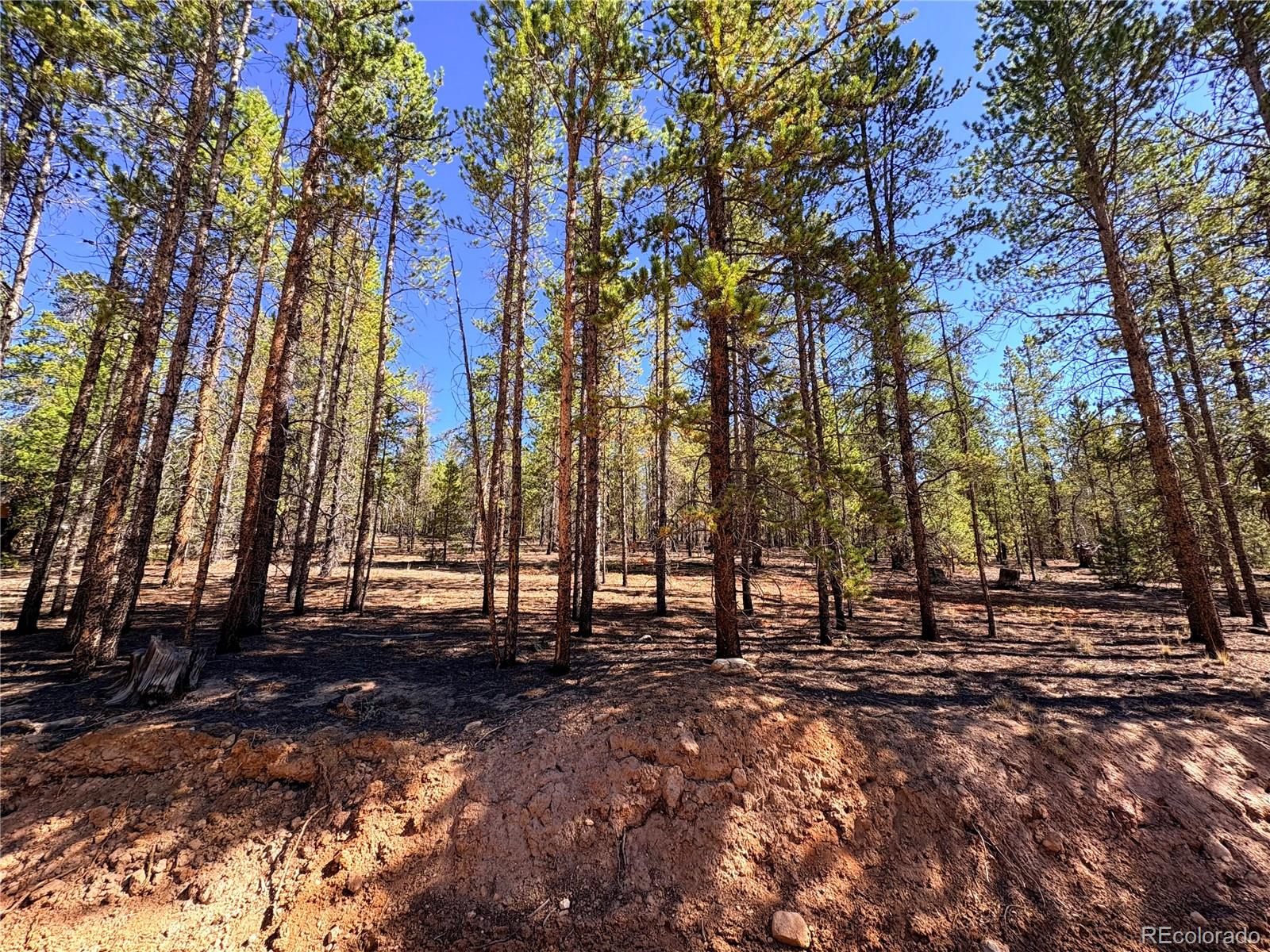 323 Aspen Dr Lot 272, Leadville, CO 80461