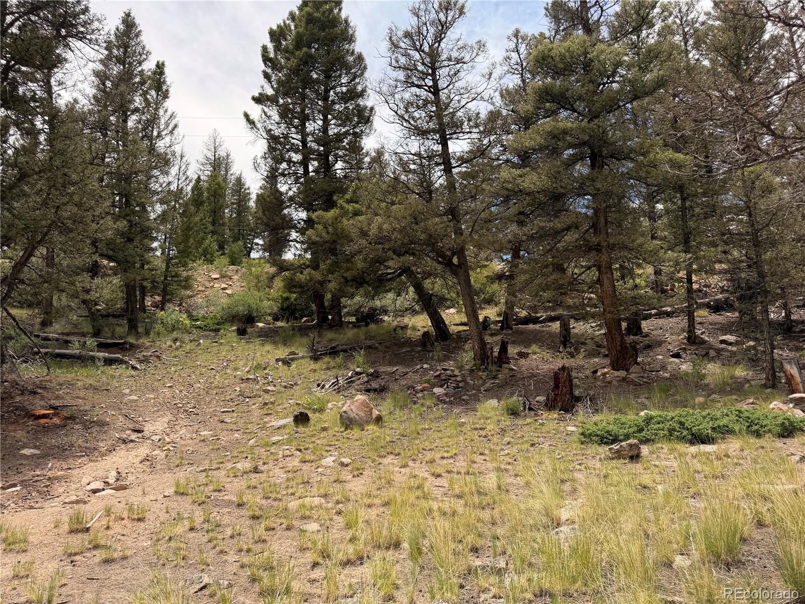 1348 Middle Fork Vi, Fairplay, CO 80440