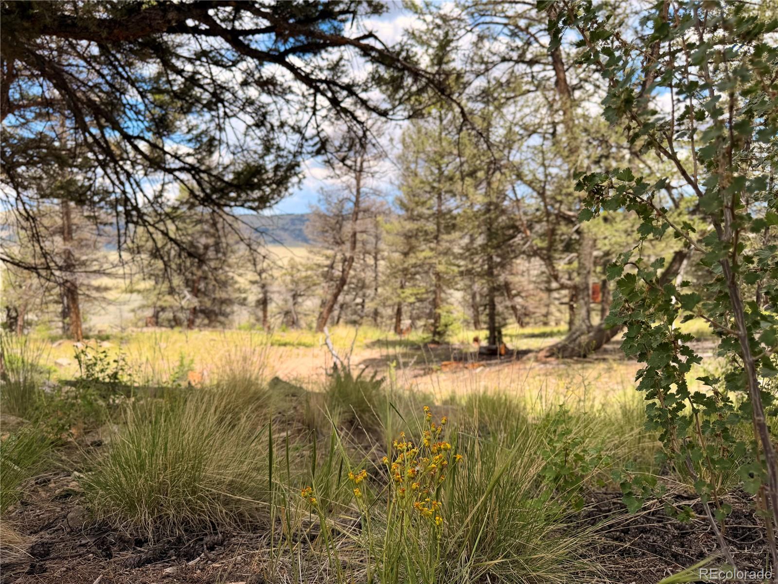 1348 Middle Fork Vi, Fairplay, CO 80440