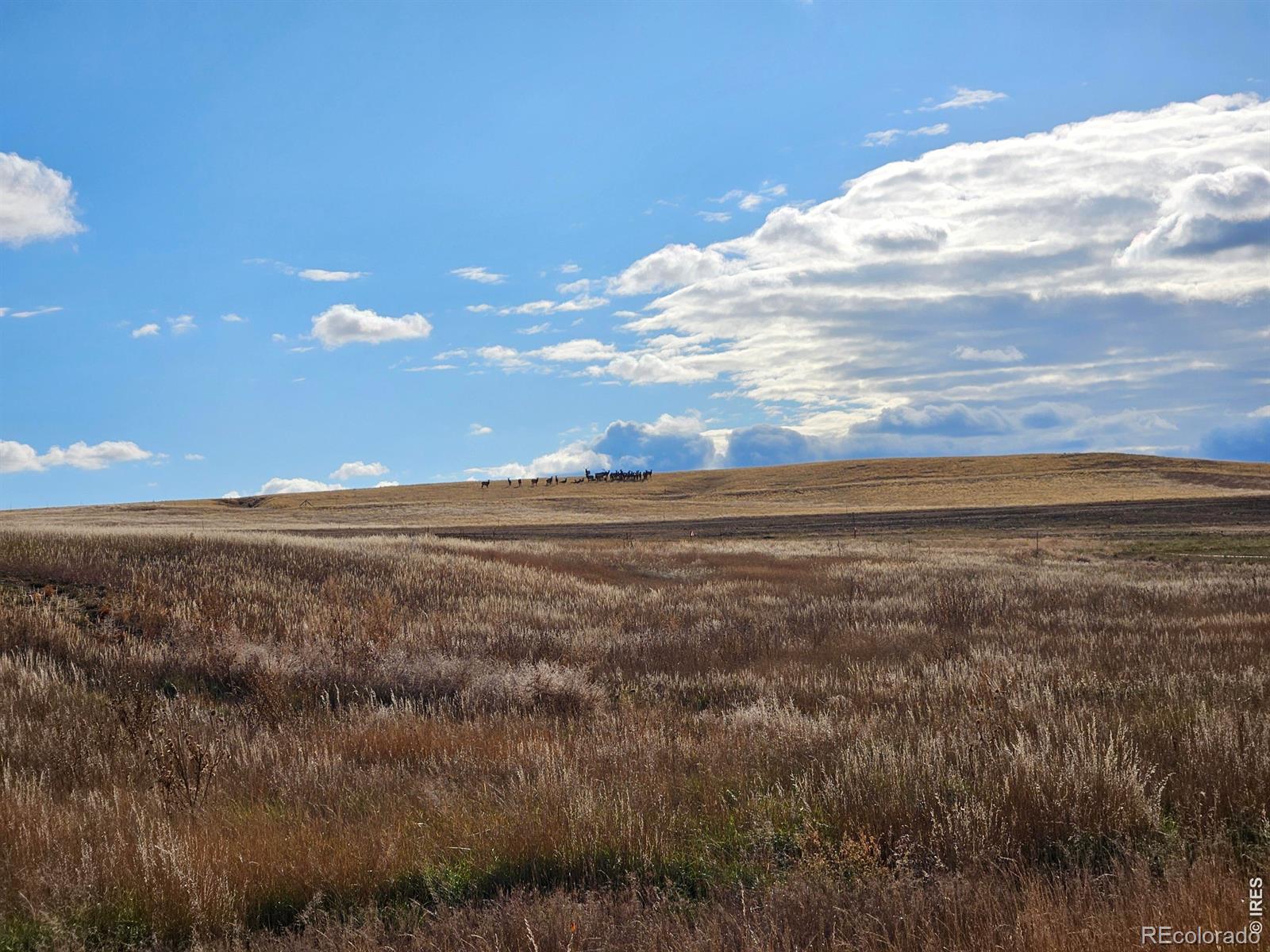 0 Levity Way, Berthoud, CO 80513