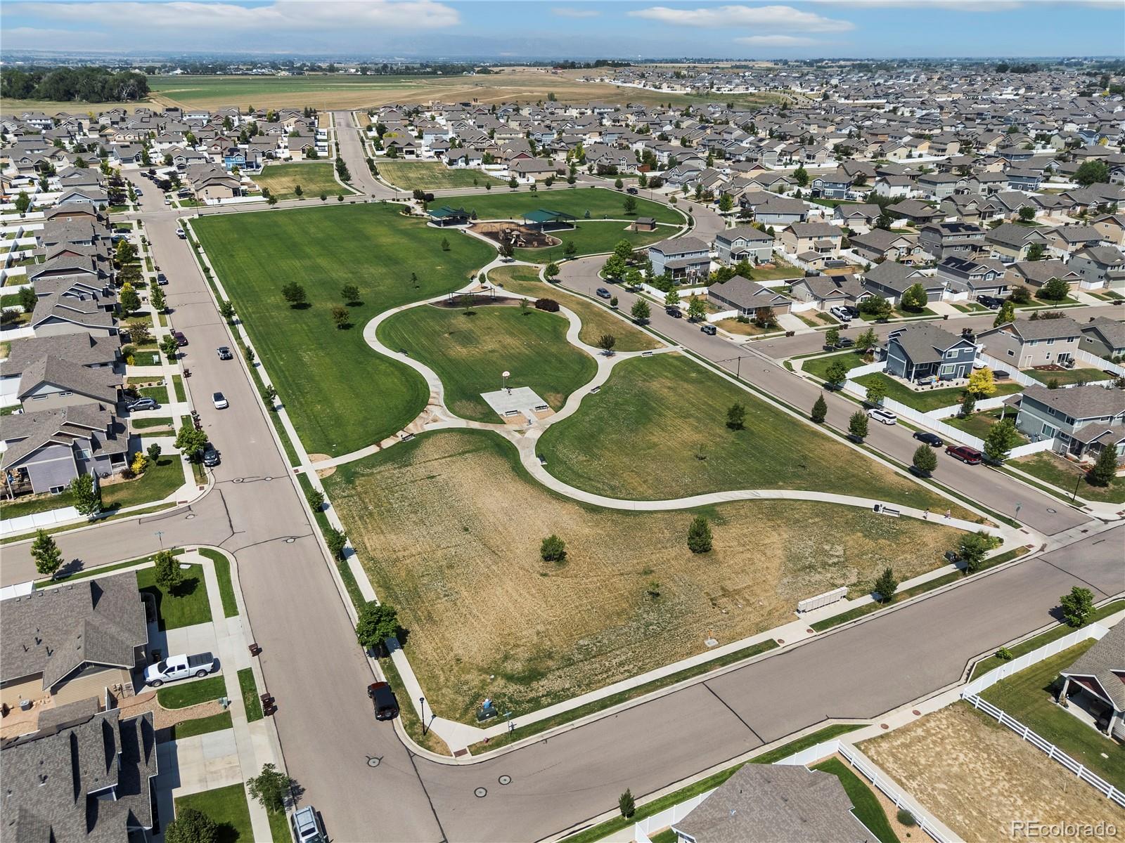 446 Ptarmigan St, Severance, CO 80550
