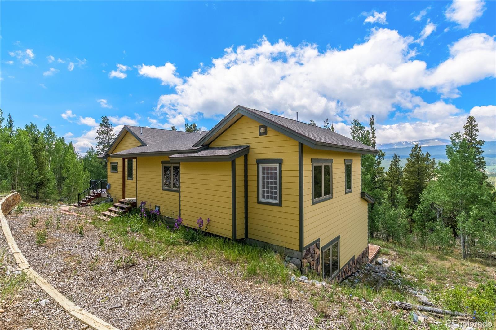 592 Ponderosa Rd, Alma, CO 80440