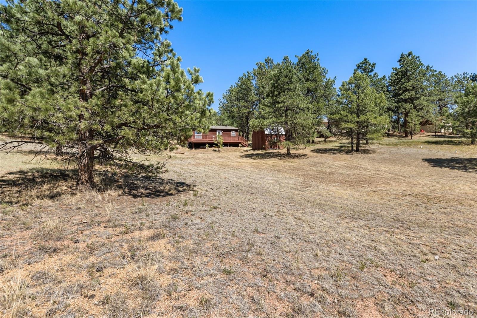 331 Rhyolite Ln, Florissant, CO 80816