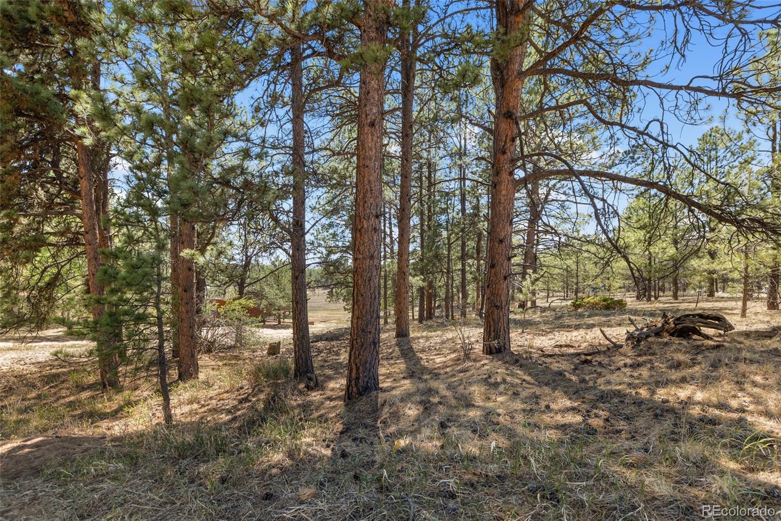 349 Rhyolite Ln Lot 34, Florissant, CO 80816