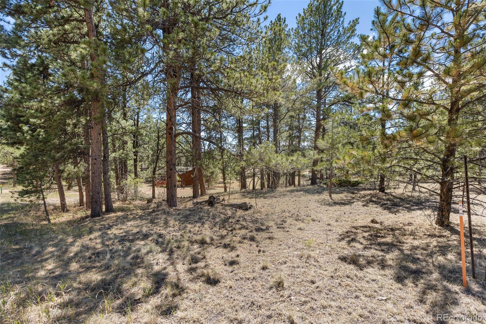 349 Rhyolite Ln Lot 34, Florissant, CO 80816