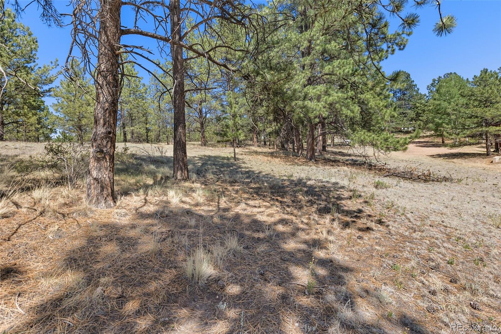 349 Rhyolite Ln Lot 34, Florissant, CO 80816
