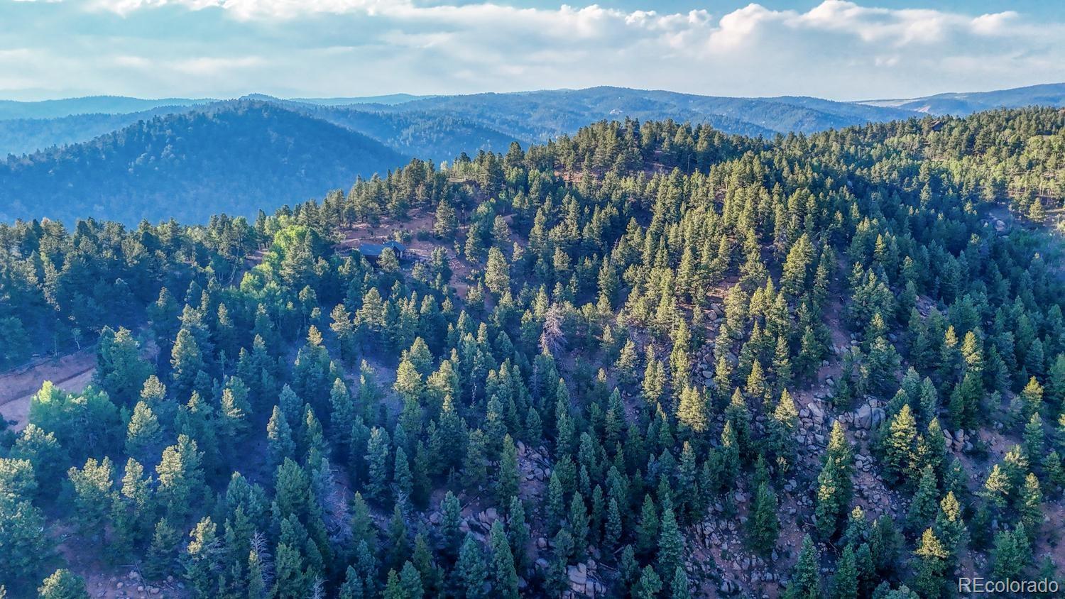 364 Blue Spruce Rd Lot 23, Divide, CO 80814