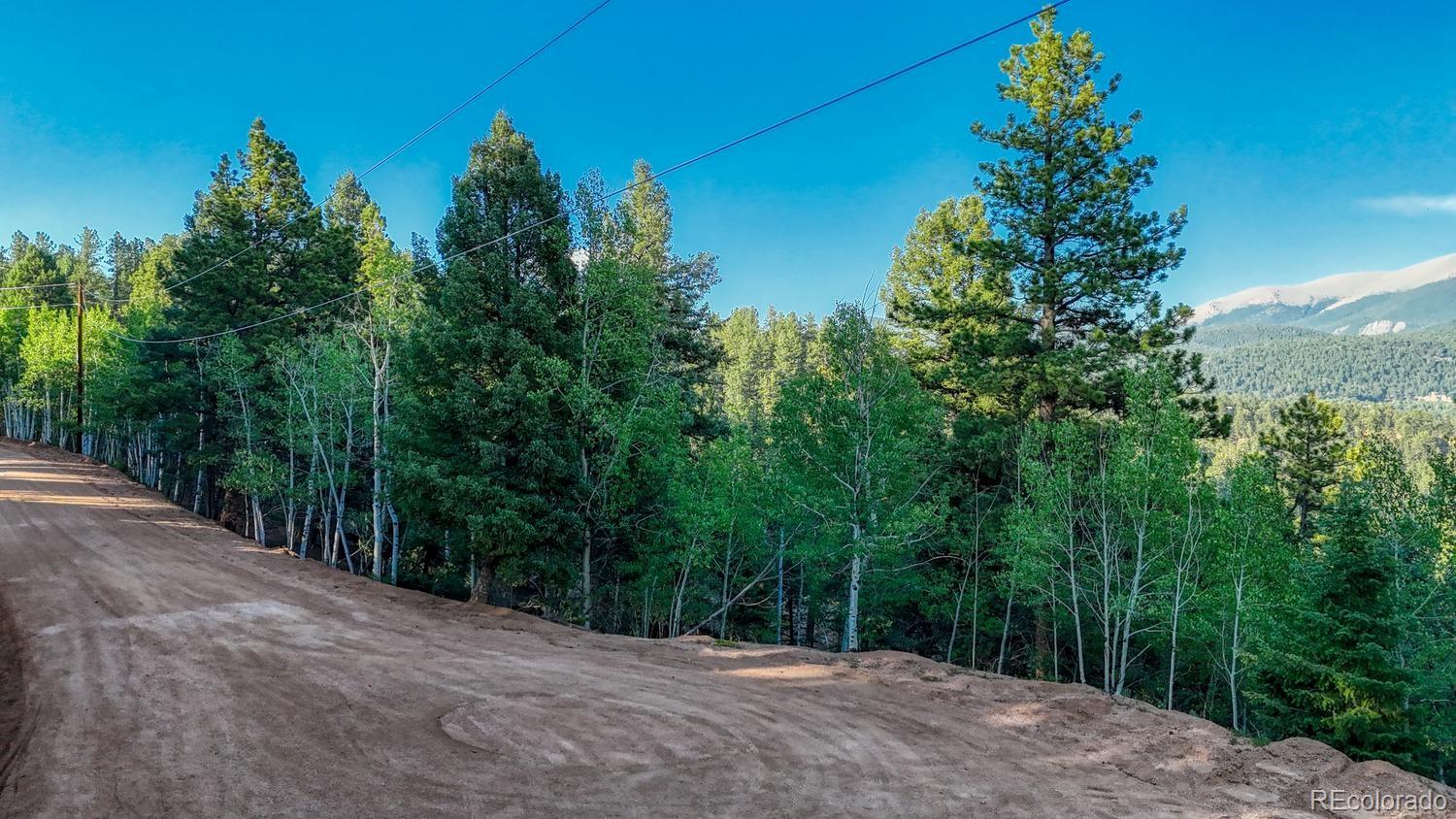 364 Blue Spruce Rd Lot 23, Divide, CO 80814