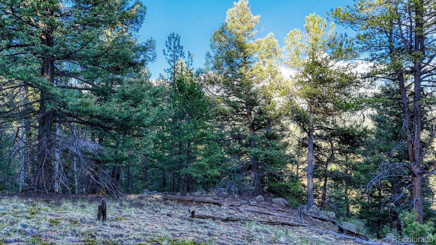 364 Blue Spruce Rd Lot 23, Divide, CO 80814
