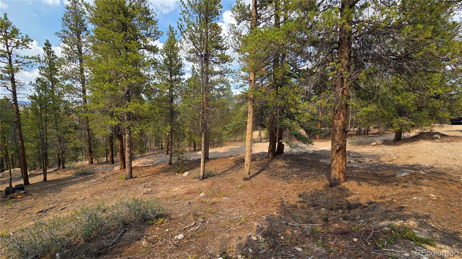 67 Lodgepole Dr Lot 45, Leadville, CO 80461
