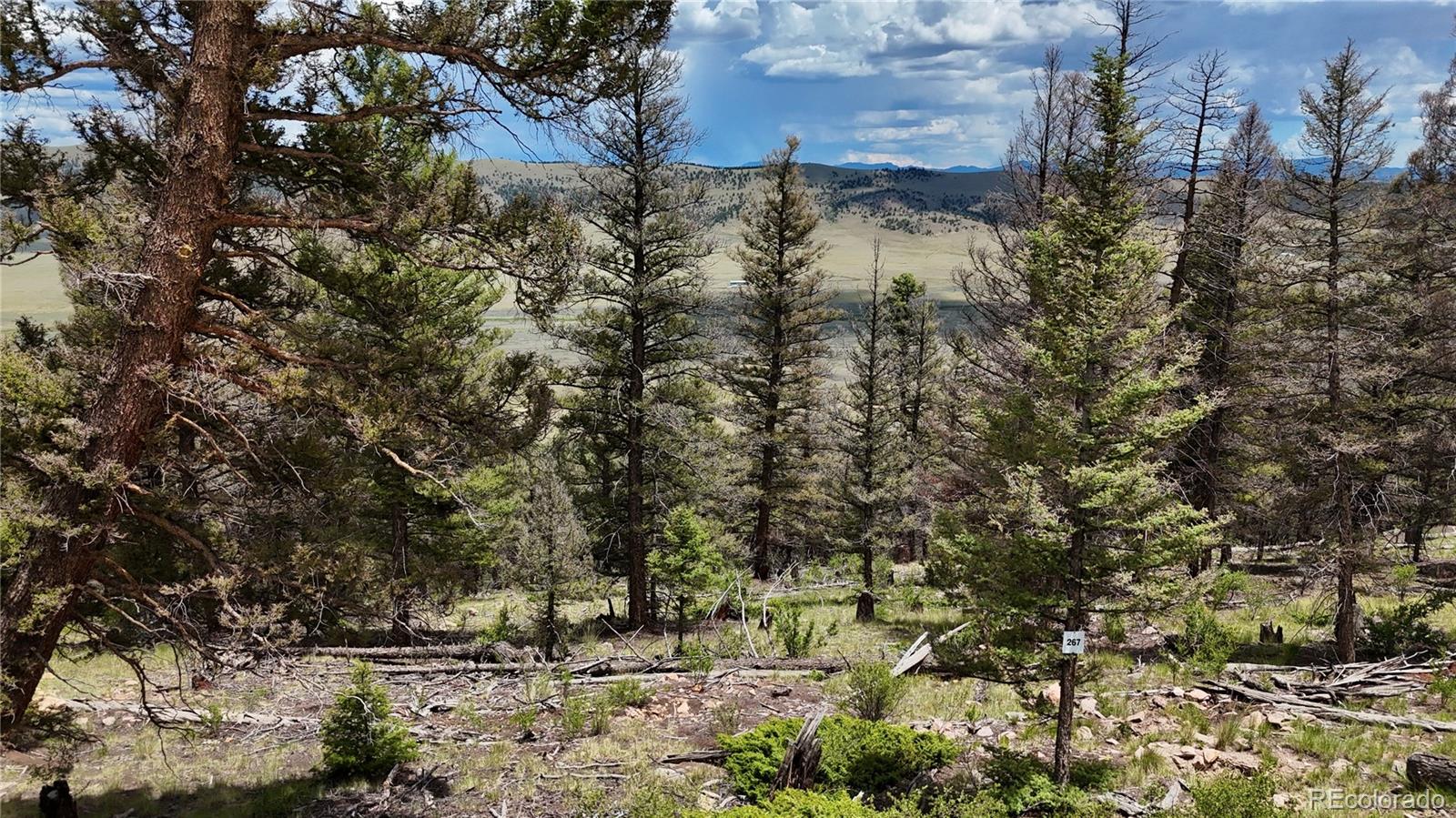 1396 Middle Fork Vi Lot 267, Fairplay, CO 80440