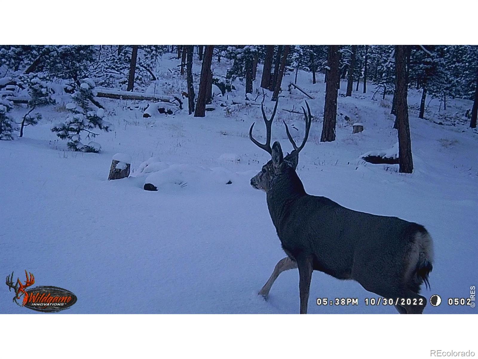 0 Old Camp Rd, Bellvue, CO 80512