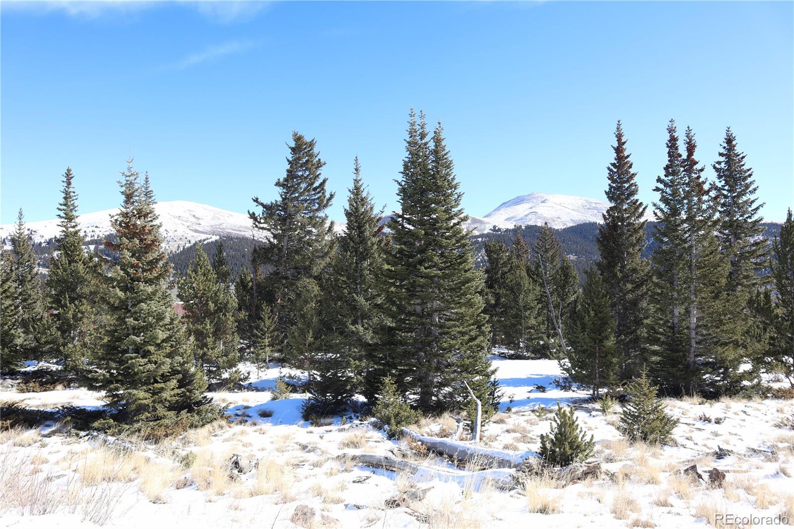 1480 Roberts Rd, Fairplay, CO 80440