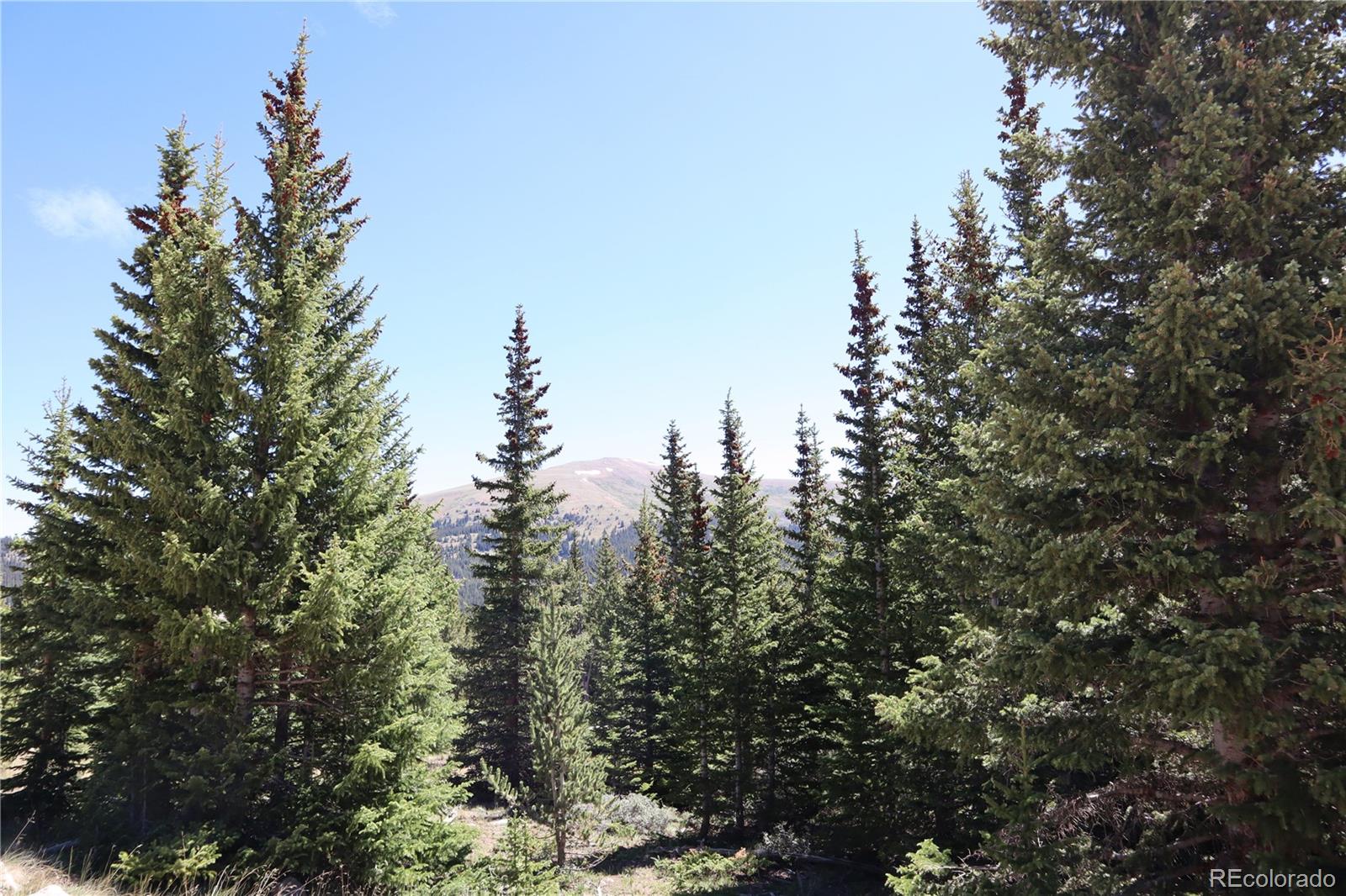 1480 Roberts Rd, Fairplay, CO 80440
