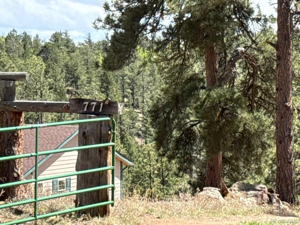 771 Moffat Dr, Cripple Creek, CO 80813