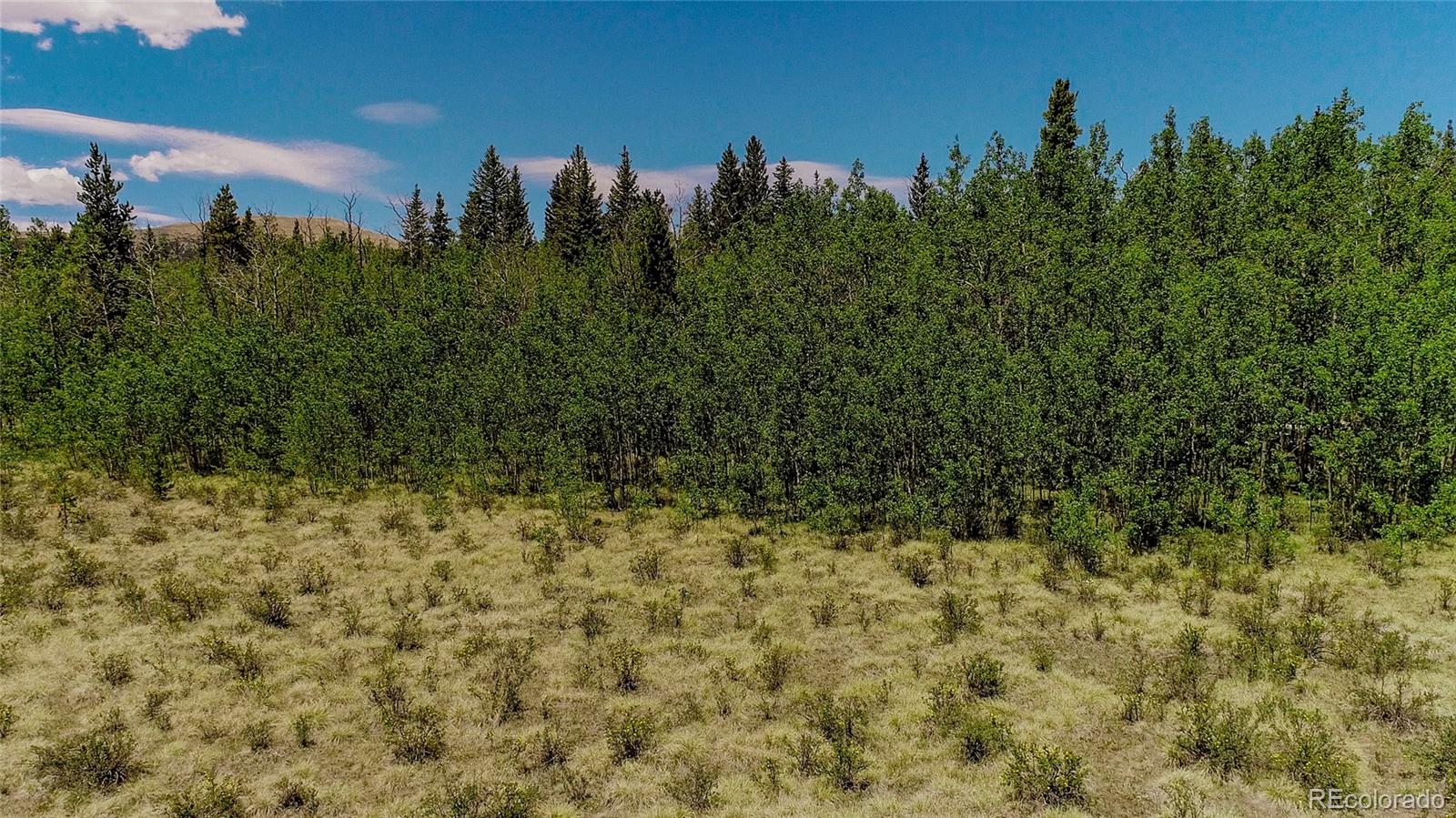 515 Wild Rye Rd Lot 130, Fairplay, CO 80440